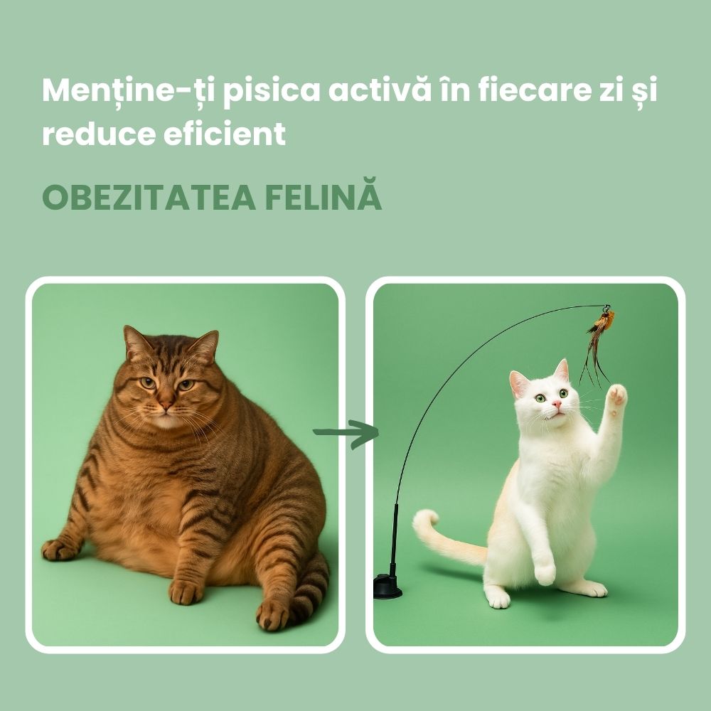 Jucărie interactivă pentru pisici cu pene, suspendată și elastică