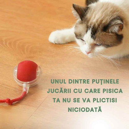 Minge inteligentă și interactivă pentru pisica ta – Se încarcă prin USB