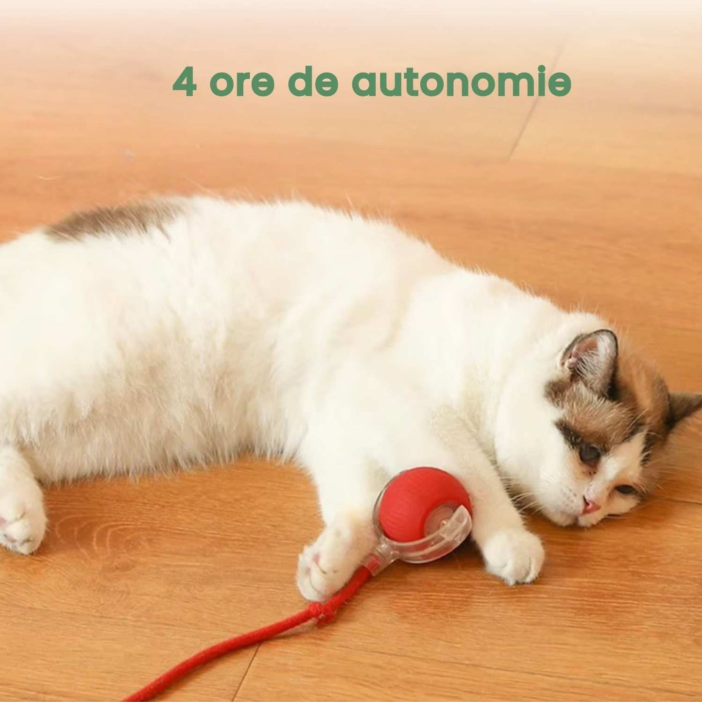 Minge inteligentă și interactivă pentru pisica ta – Se încarcă prin USB