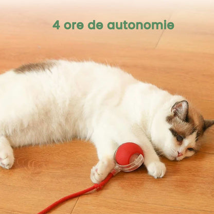Minge inteligentă și interactivă pentru pisica ta – Se încarcă prin USB