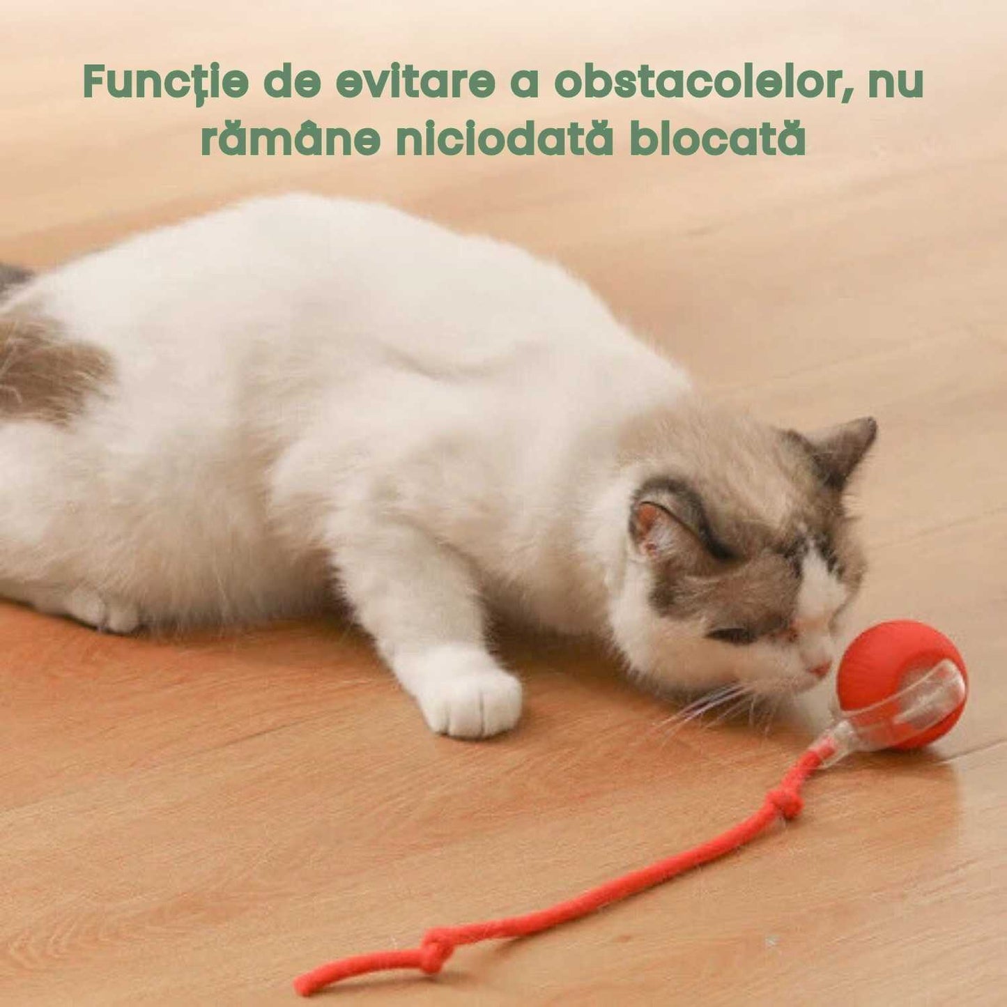 Minge inteligentă și interactivă pentru pisica ta – Se încarcă prin USB