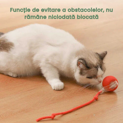 Minge inteligentă și interactivă pentru pisica ta – Se încarcă prin USB