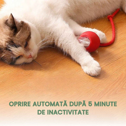 Minge inteligentă și interactivă pentru pisica ta – Se încarcă prin USB