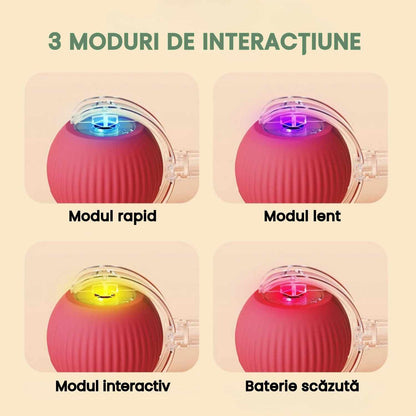 Minge inteligentă și interactivă pentru pisica ta – Se încarcă prin USB