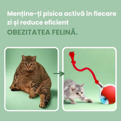 Mingea inteligentă pentru pisici, 100% autonomă, concepută să imite o pradă reală.