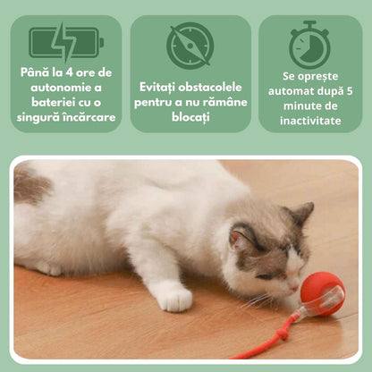 Mingea inteligentă pentru pisici, 100% autonomă, concepută să imite o pradă reală.