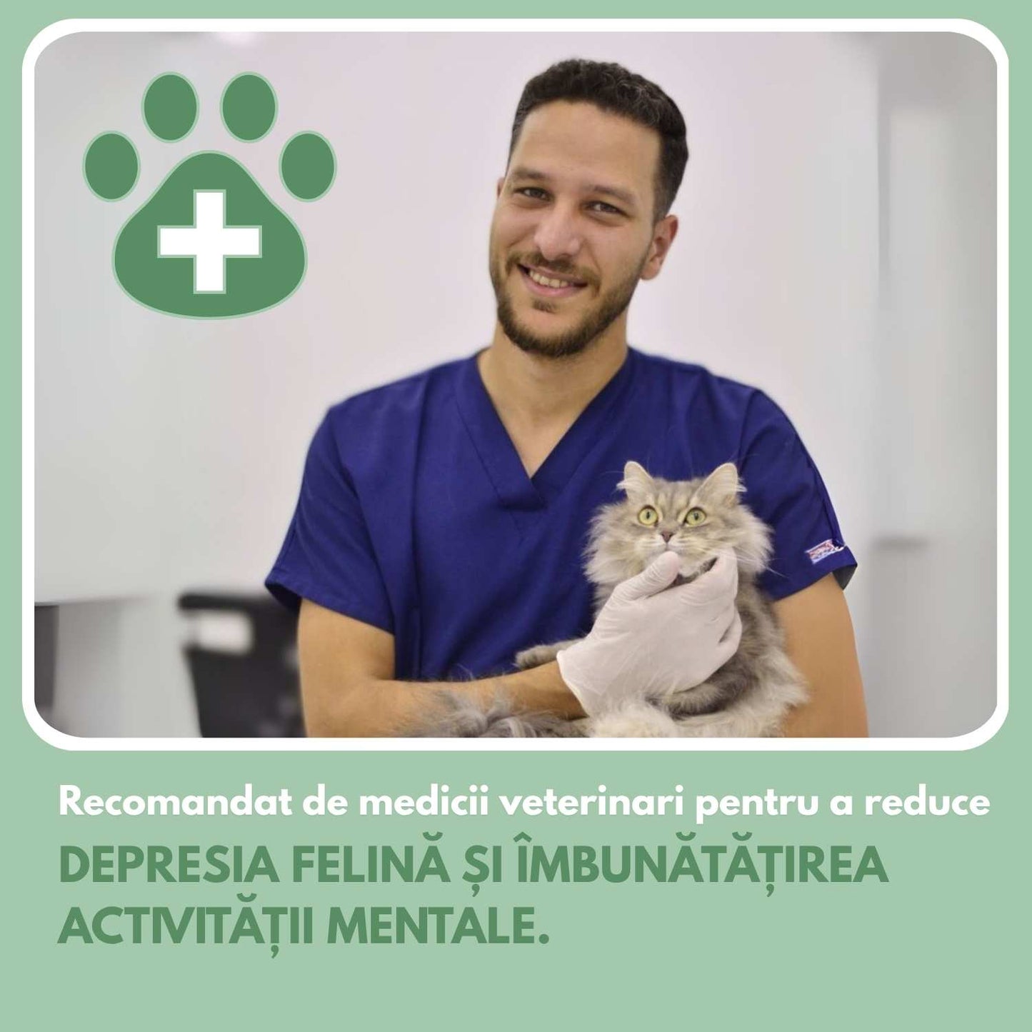 Mingea inteligentă pentru pisici, 100% autonomă, concepută să imite o pradă reală.