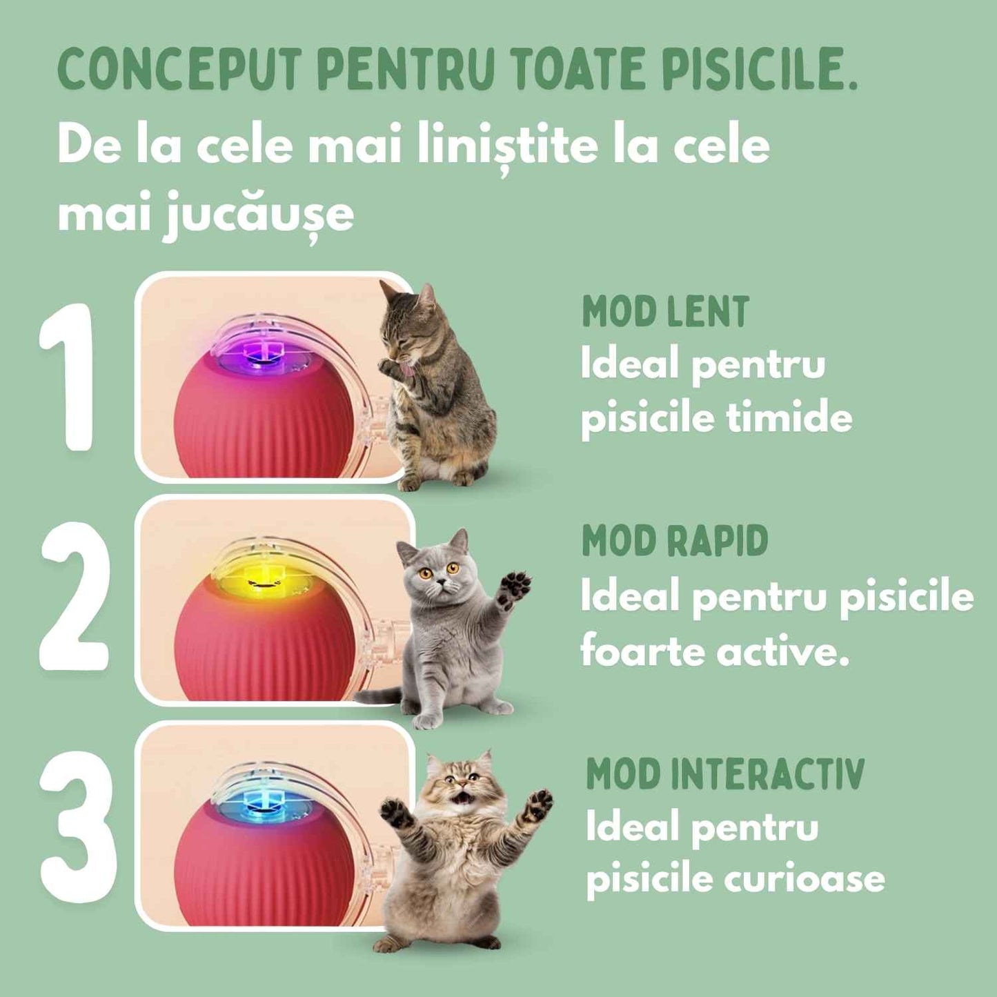 Mingea inteligentă pentru pisici, 100% autonomă, concepută să imite o pradă reală.