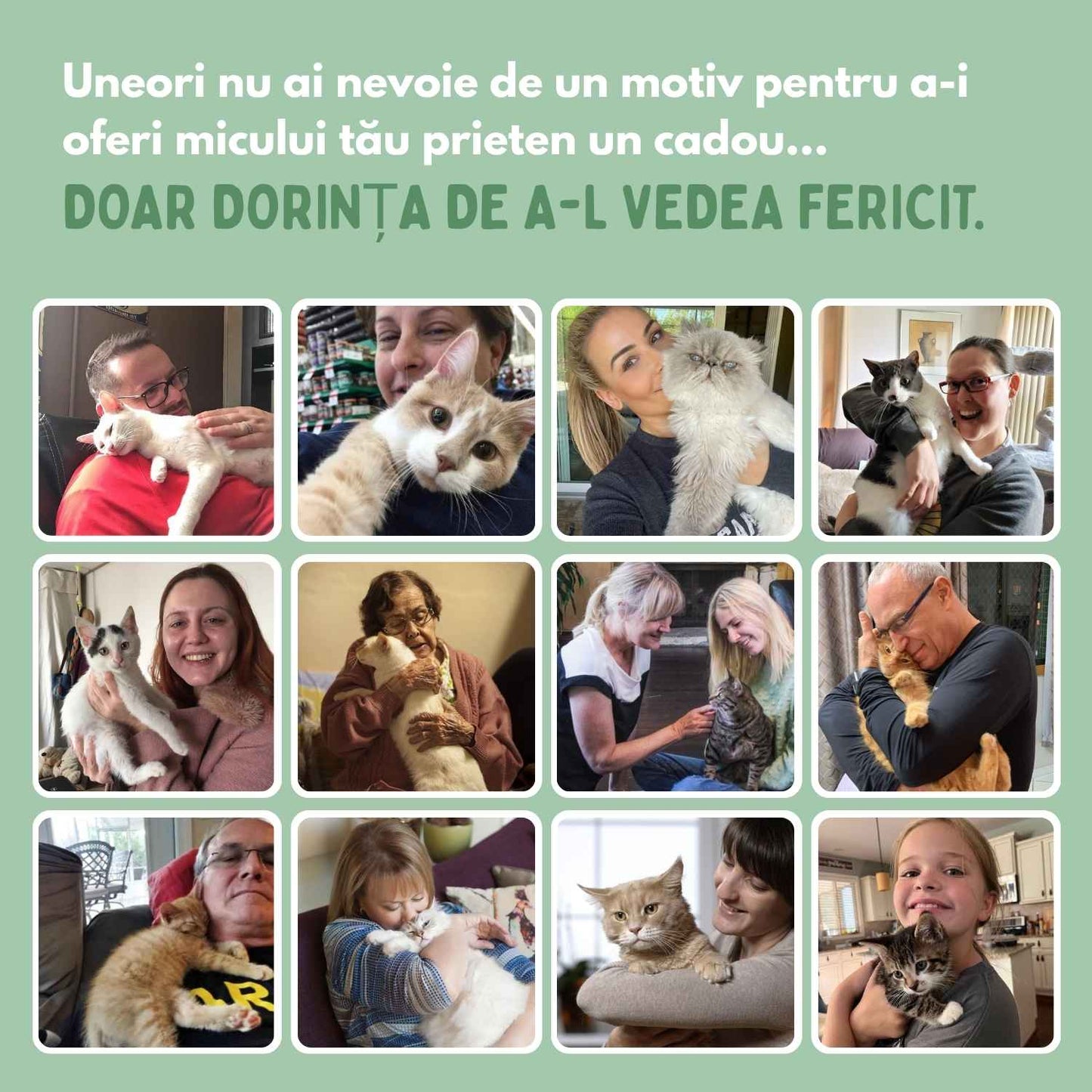 Mingea inteligentă pentru pisici, 100% autonomă, concepută să imite o pradă reală.