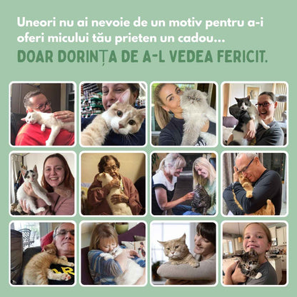 Mingea inteligentă pentru pisici, 100% autonomă, concepută să imite o pradă reală.